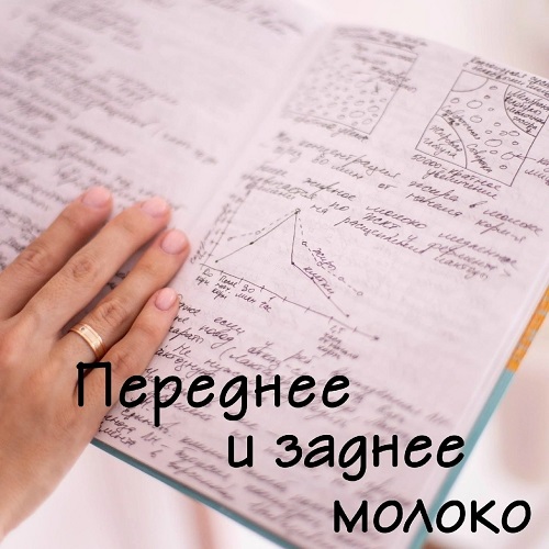 Переднее и заднее молоко