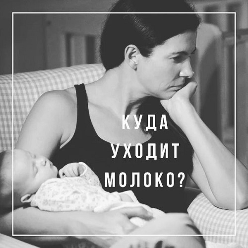 Куда уходит молоко?